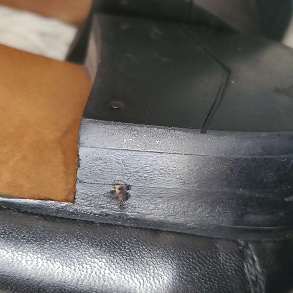 Stacy Adams Black 7.5 dress shoe - Picture 4 of 8